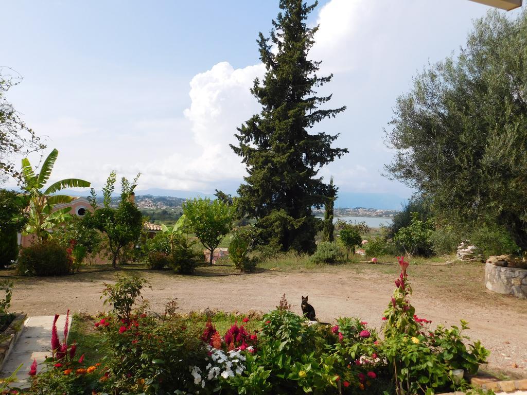 Olga'S Hill Villa Perama  Exterior photo