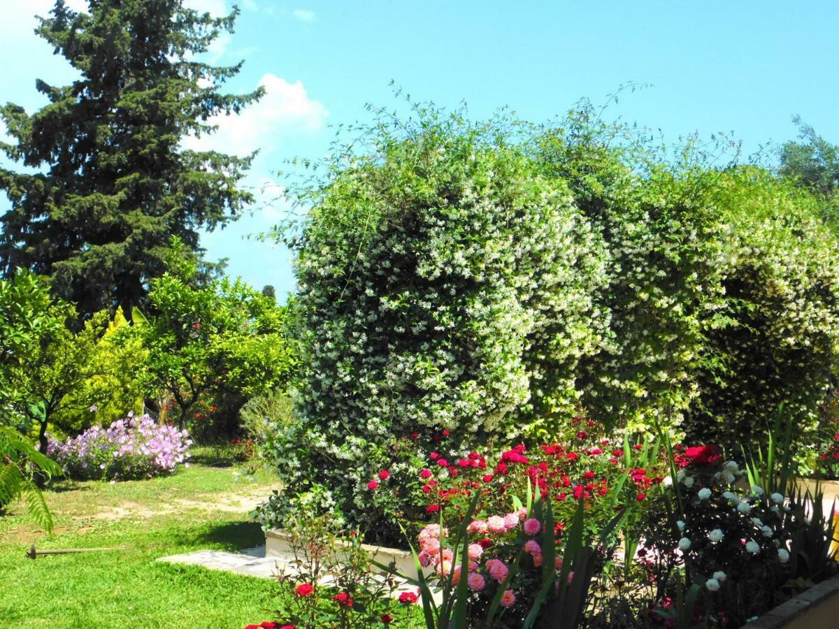 Olga'S Hill Villa Perama  Exterior photo